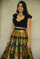 Nikki Tamboli Gallery